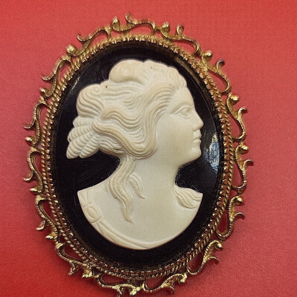 Elegant Cream and Black Cameo Brooch with Ornate Detailing